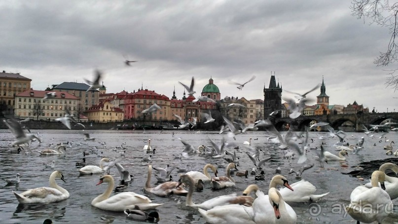 Величественная Прага