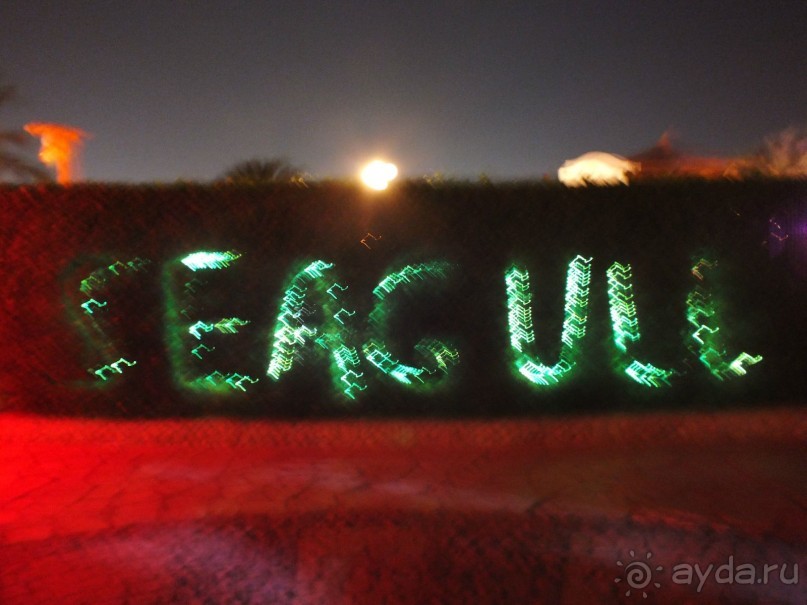 Чудесный отель!