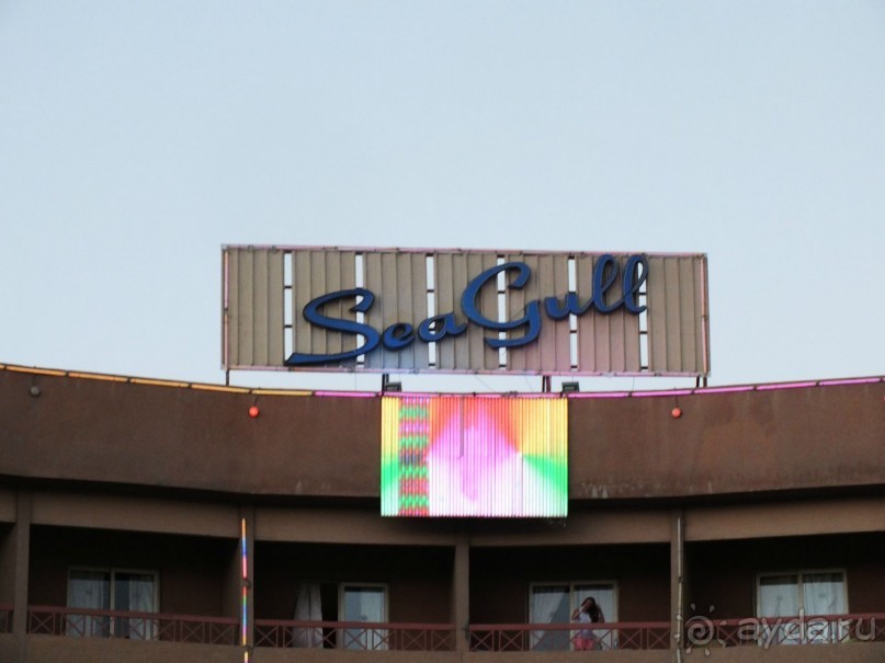 Чудесный отель!