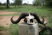 Центральная Африка, место куда хочется вернуться!