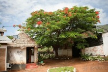 Центральная Африка, место куда хочется вернуться!