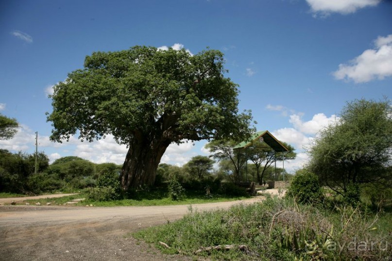 Центральная Африка, место куда хочется вернуться!