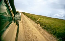 Центральная Африка, место куда хочется вернуться!