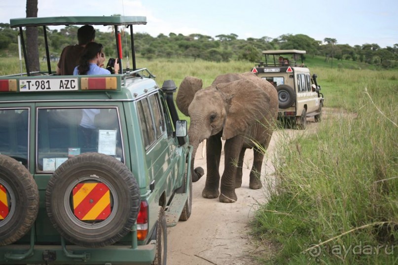 Центральная Африка, место куда хочется вернуться!