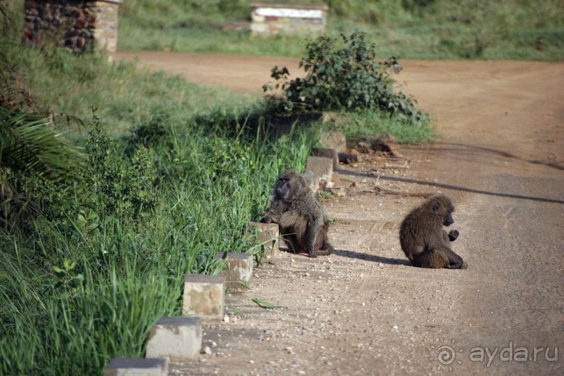 Центральная Африка, место куда хочется вернуться!