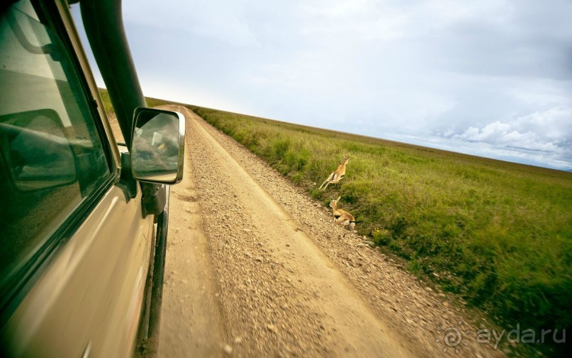 Центральная Африка, место куда хочется вернуться!