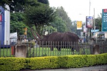 Вполне приличный отель для нетребовательных людей