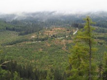 Отель для романтиков