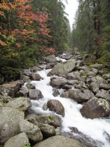 Сказочные Высокие Татры в Словакии