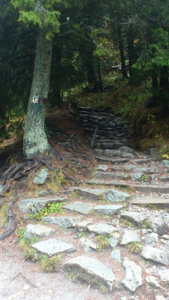 Сказочные Высокие Татры в Словакии