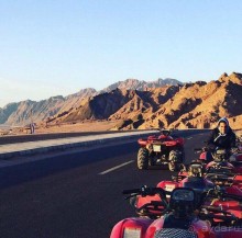 Роза пустыни 