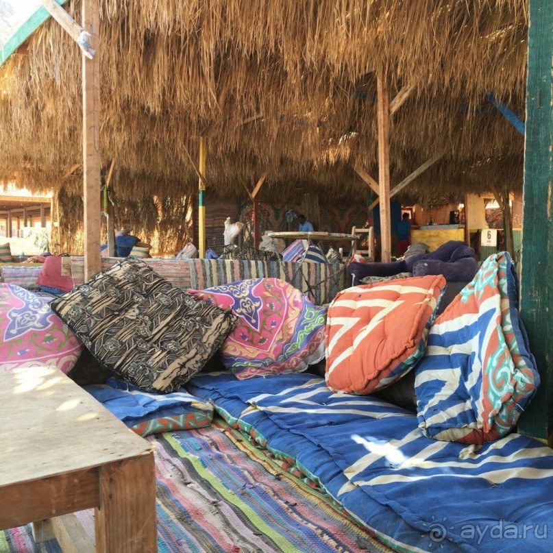 Роза пустыни 