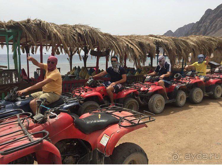 Роза пустыни 