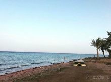 Роза пустыни 