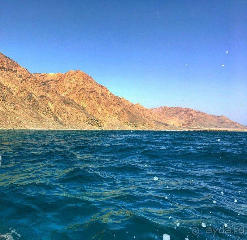 Роза пустыни 