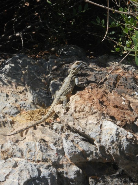 Отдых в Турции в 2013 году.