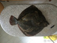 Лучшее время с семьей