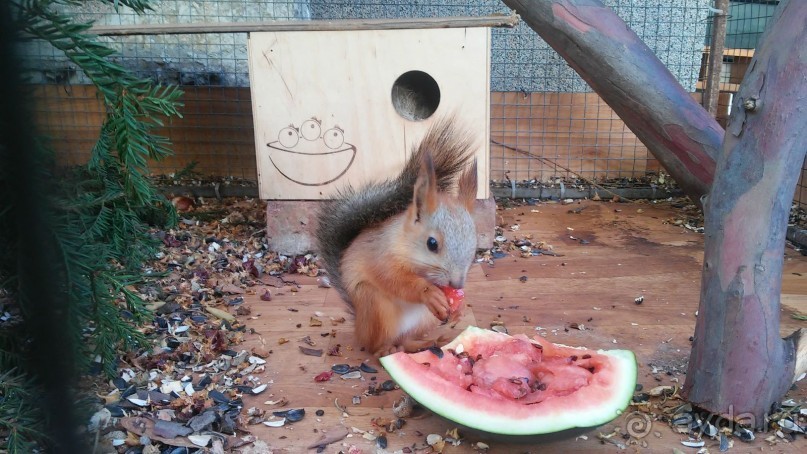 Лучшее время с семьей