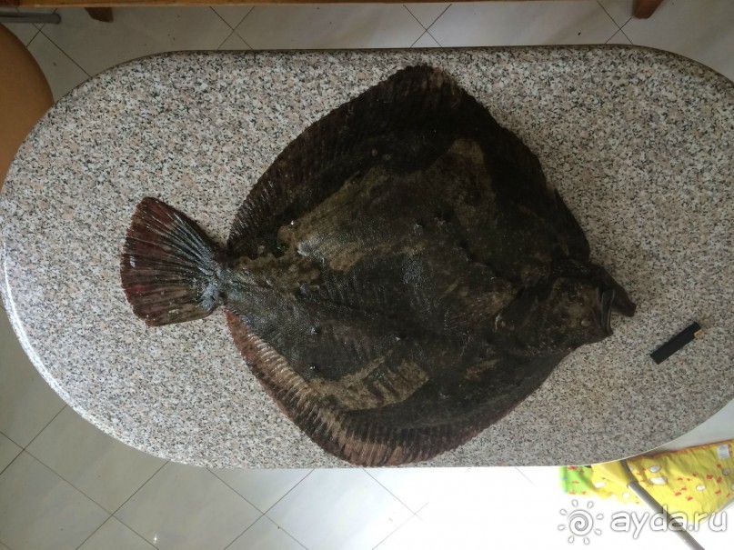 Лучшее время с семьей