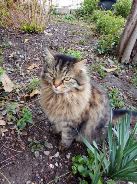 Лучшее время с семьей