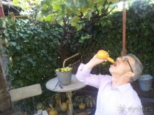 Главный козырь Грузии-это душа!