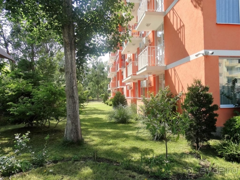 Болгария Сдаю квартиру Студию на Солнечном берегу рядом Младост