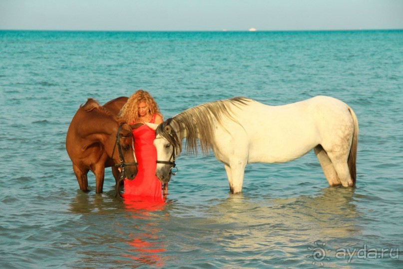такой отдых только в сказках ,но это мой рассказ об отдыхе в Египте!