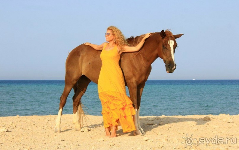 такой отдых только в сказках ,но это мой рассказ об отдыхе в Египте!