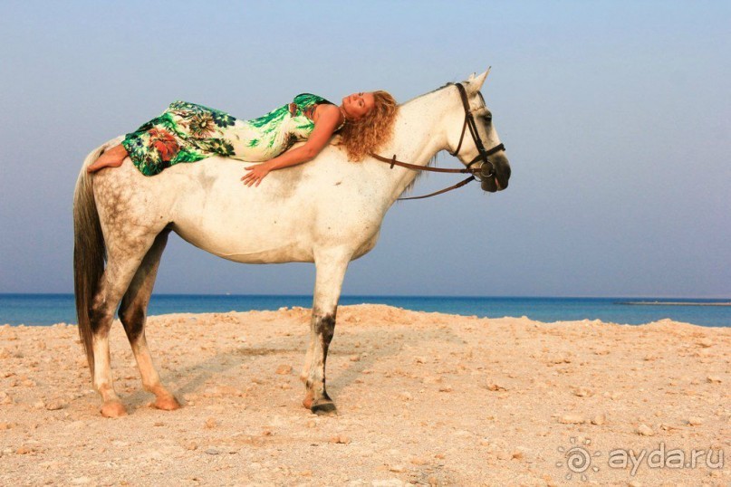 такой отдых только в сказках ,но это мой рассказ об отдыхе в Египте!