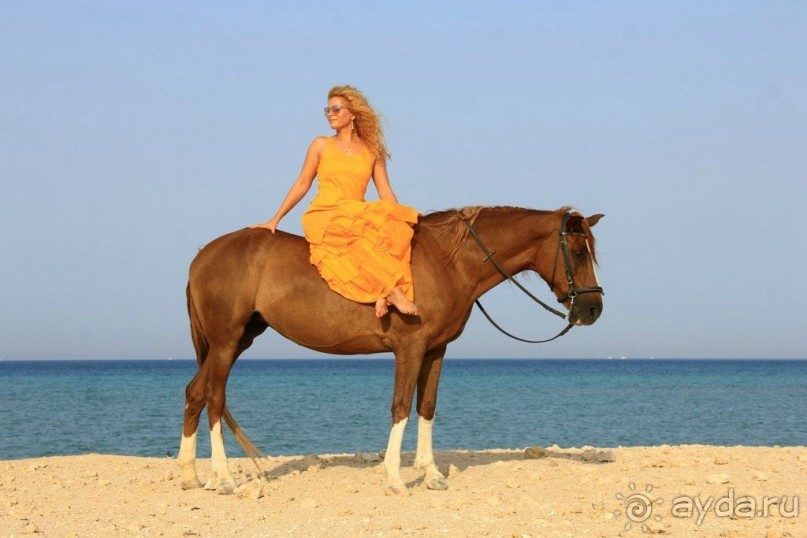 такой отдых только в сказках ,но это мой рассказ об отдыхе в Египте!