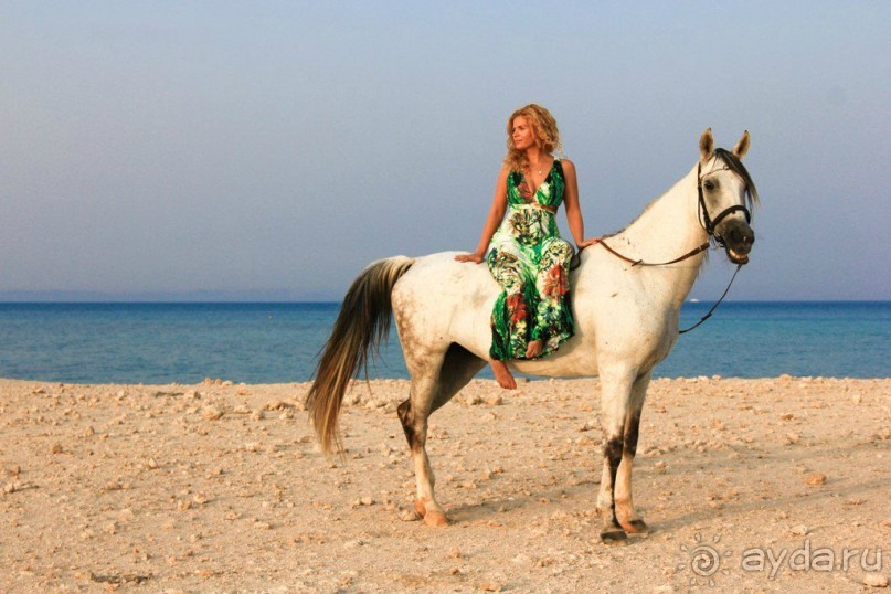 такой отдых только в сказках ,но это мой рассказ об отдыхе в Египте!