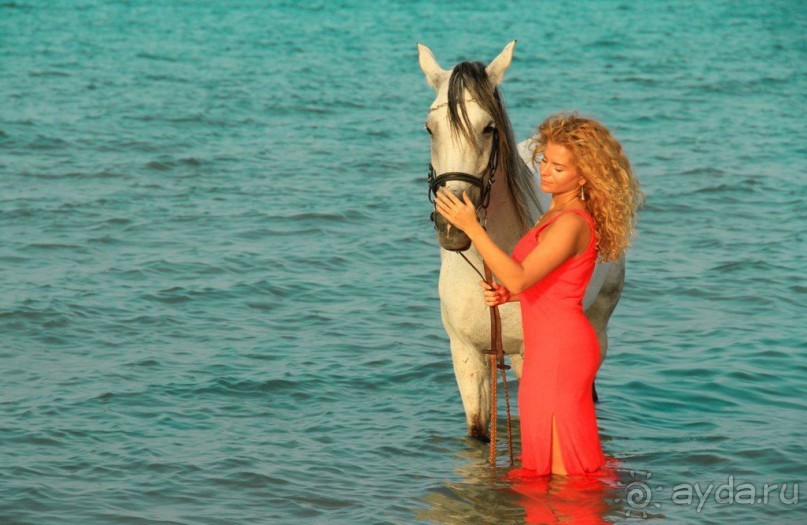 такой отдых только в сказках ,но это мой рассказ об отдыхе в Египте!