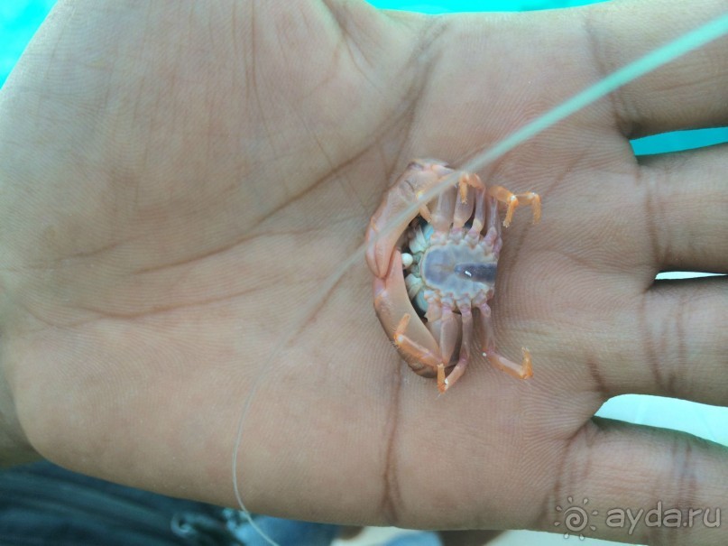 Много моря и немножко экскурсий.