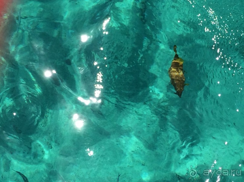 Много моря и немножко экскурсий.