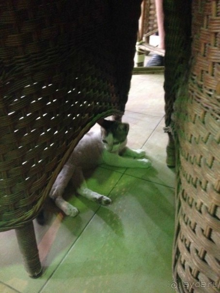 Много моря и немножко экскурсий.