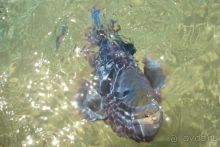 советы и рекомендации опытных туристов!!!