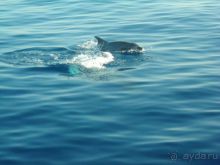 советы и рекомендации опытных туристов!!!