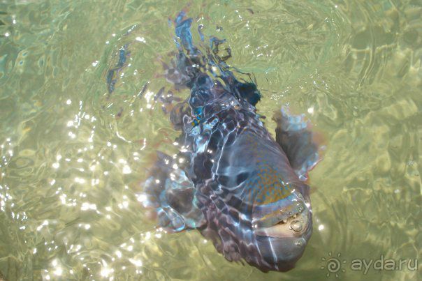 советы и рекомендации опытных туристов!!!