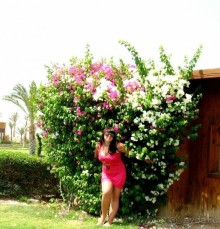 что б вы были в курсе.