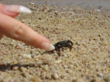 что б вы были в курсе.