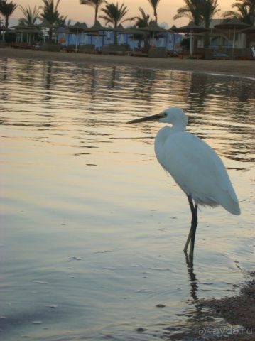 что б вы были в курсе.