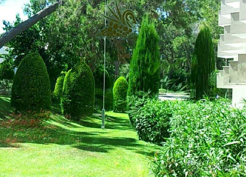 Прекрасный отель для всех