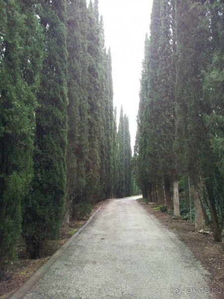 Грузия моей мечты