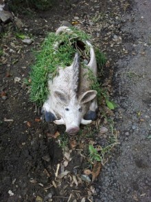 Грузия моей мечты