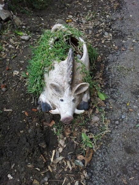 Грузия моей мечты