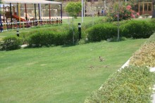 тут не плохо.