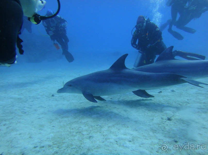 если едешь одна тогда вот мой опыт!!!