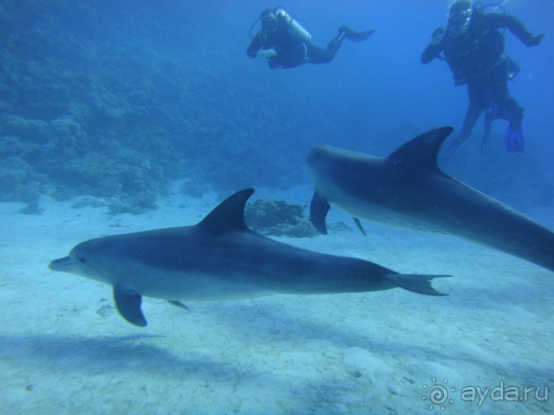 если едешь одна тогда вот мой опыт!!!