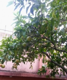 Хороший отдых в отеле.