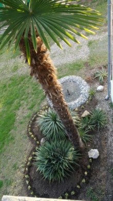 Хостел Кипарис - не дорогой, уютный, с хорошим питанием